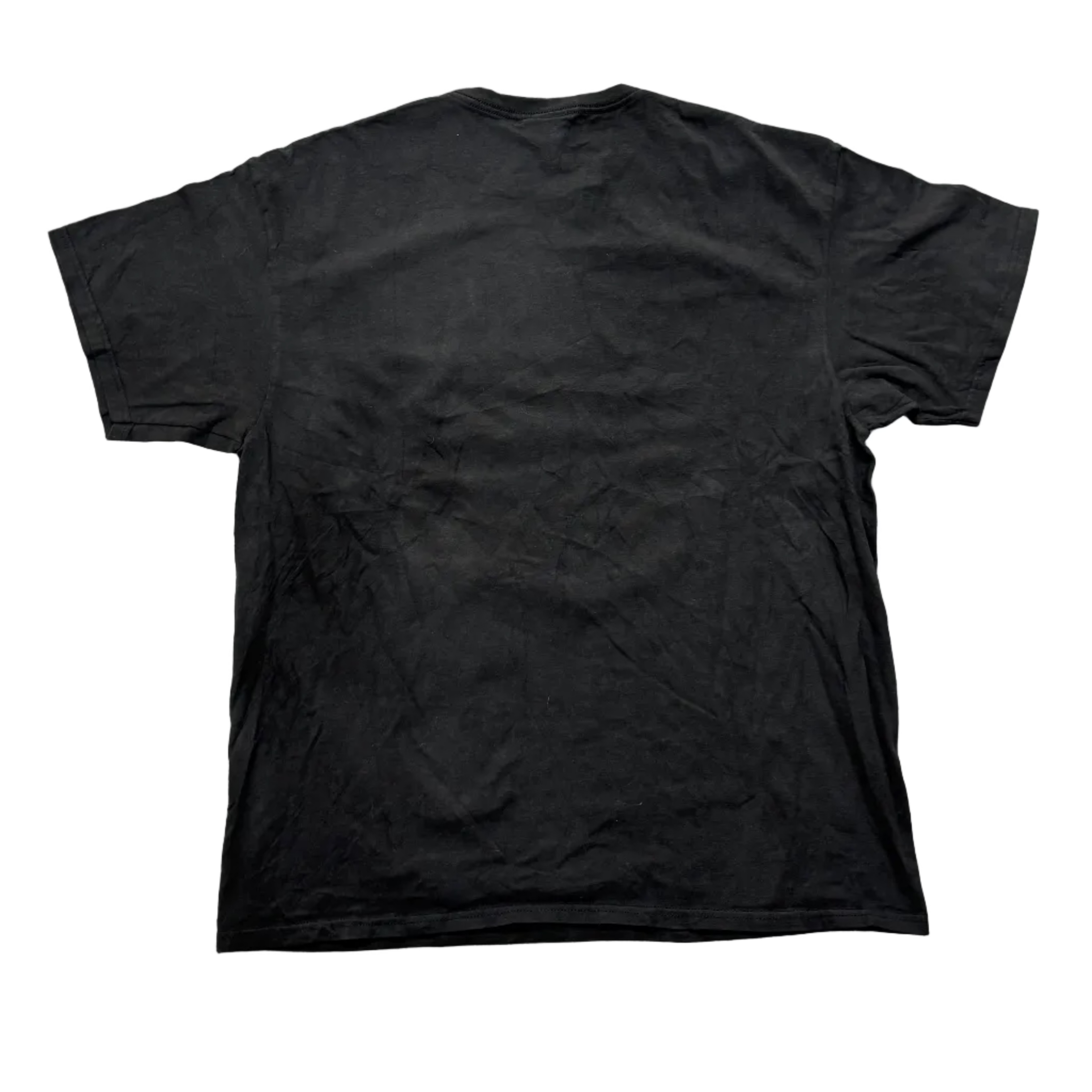 Washington Capital Graphic Tee -  XL on label